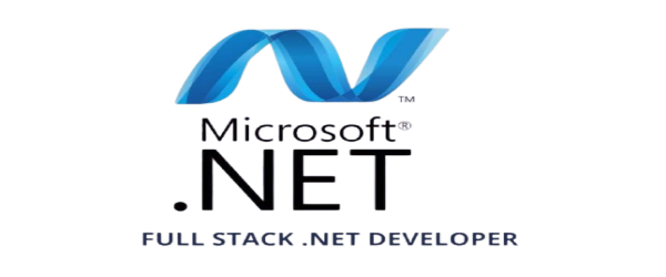 .NET Full Stack Developer