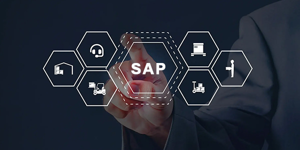 Achieve SAP Certification with Expert Training in Delhi